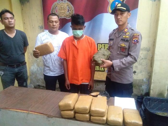 Polsek Patumbak Gagalkan Pengiriman 10 Kg Ganja ke Lampung 