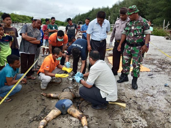 Warga Temukan Mayat Bocah Terdampar di Pantai Labu