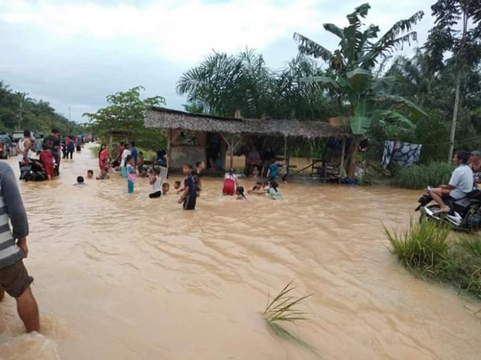 Banjir Melanda Labuhanbatu, Imbas Penggundulan Hutan Bukit Barisan 