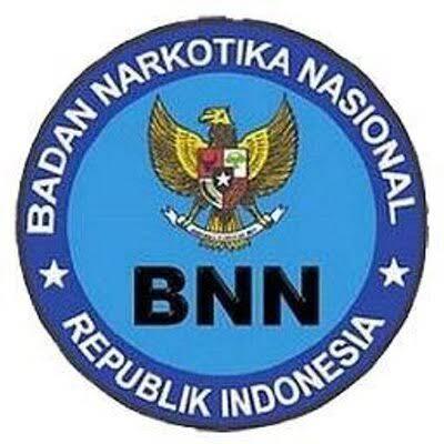 BNNP Sumut Sosialisasi Bahaya Narkoba dan Penanggulangannya di Kelurahan Sei Sekambing C-II